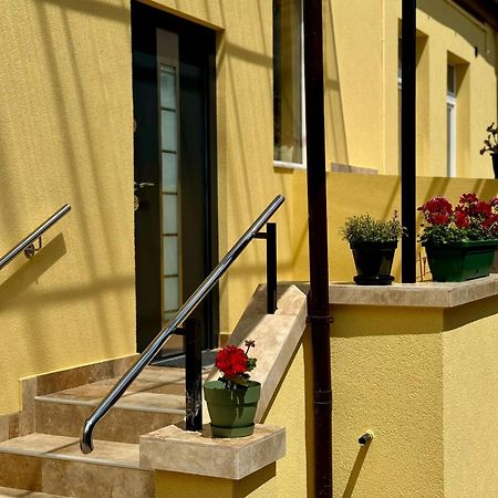 Apartament Victoria Temeşvar Dış mekan fotoğraf