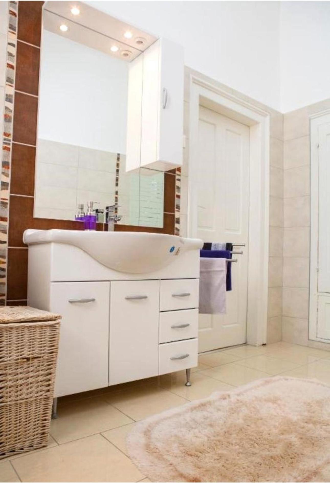 Apartament Victoria Temeşvar Dış mekan fotoğraf