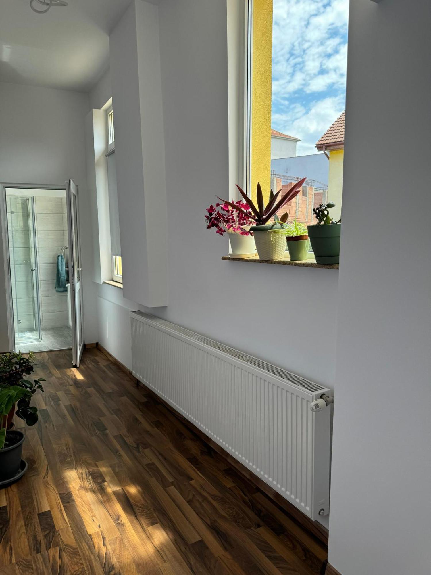 Apartament Victoria Temeşvar Dış mekan fotoğraf