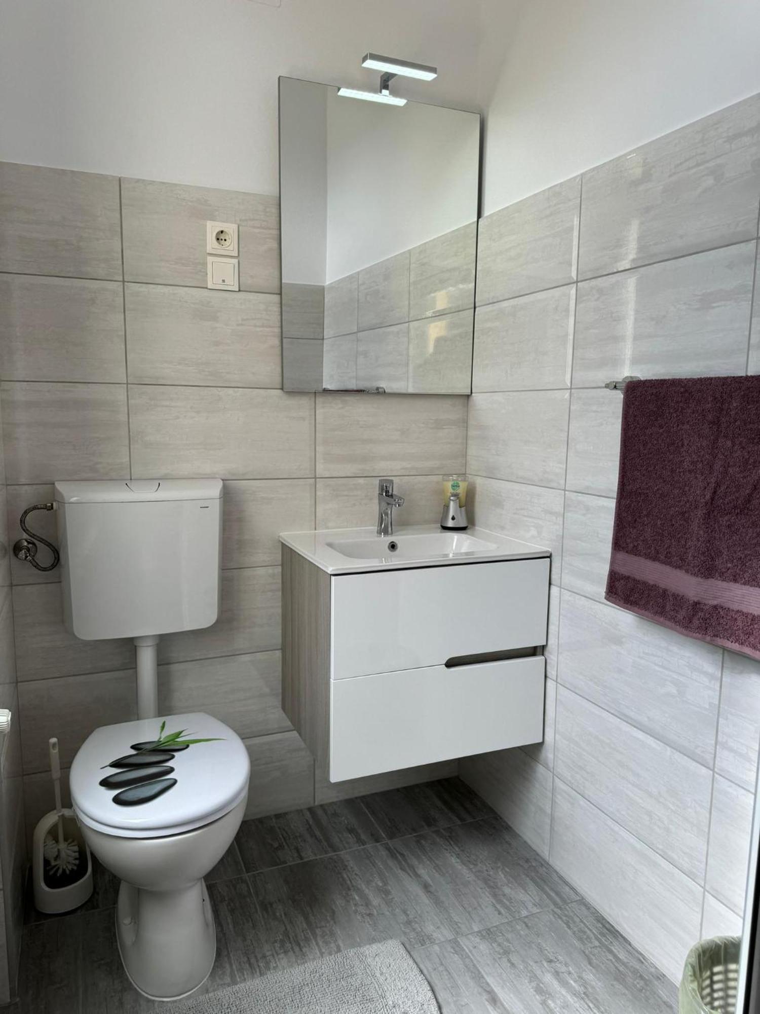 Apartament Victoria Temeşvar Dış mekan fotoğraf