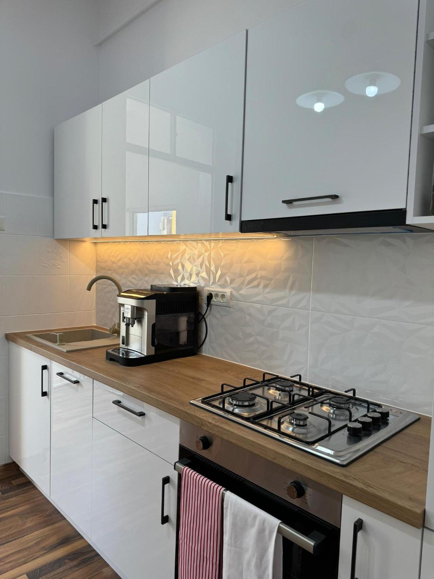 Apartament Victoria Temeşvar Dış mekan fotoğraf