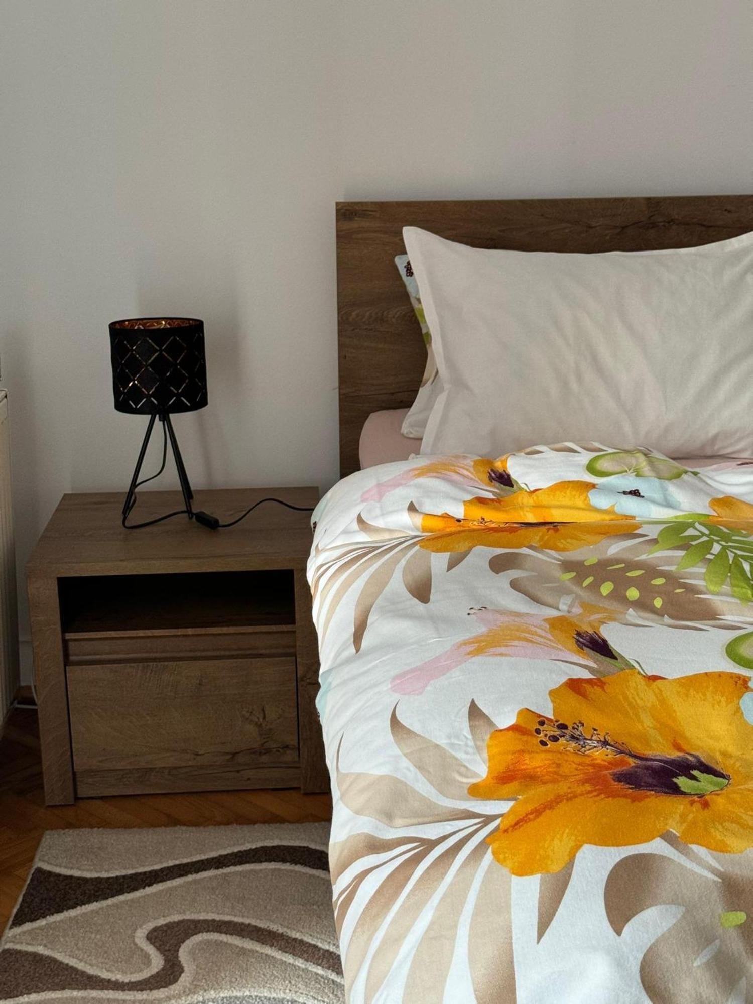 Apartament Victoria Temeşvar Dış mekan fotoğraf
